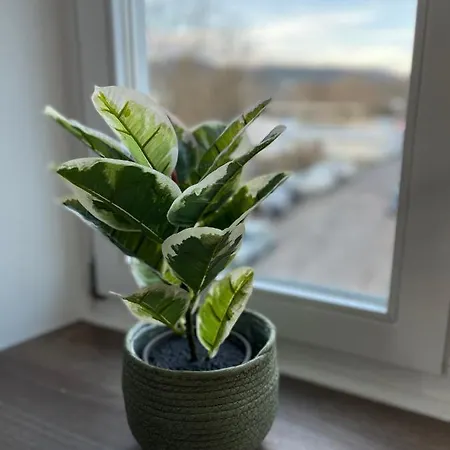 Apartment Zum Zollkran Trier